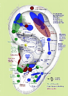 Yase-Ohr-2